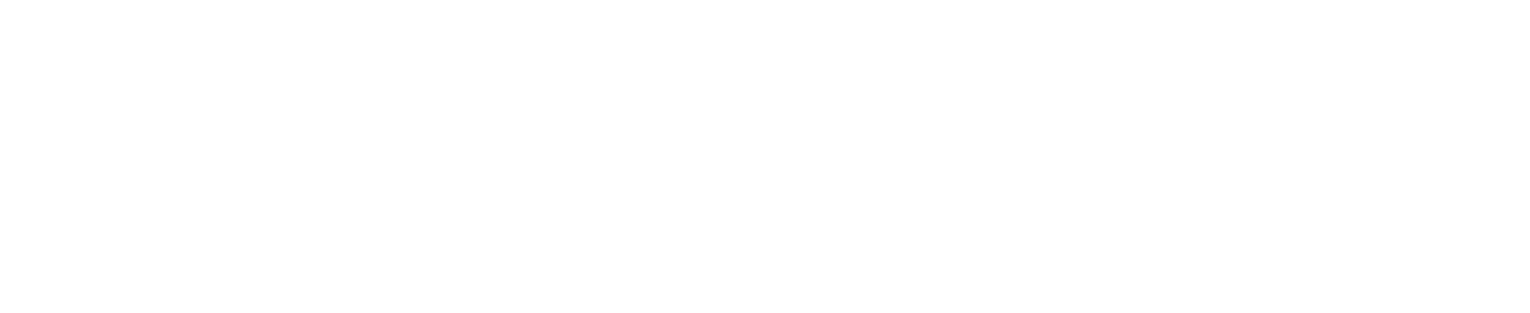 Ticket King Logo